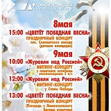 Митинг-концерт «Журавли над Россией» у стелы Победы на площади Ломоносовского Дворца культуры